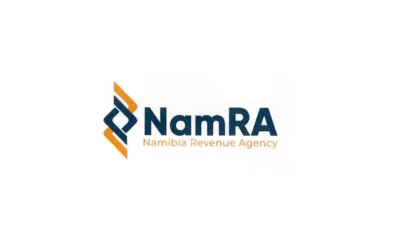 NamRA to scrutinize zero tax returns